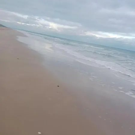 La Salicorne, Maison D'hotes. Сasa de vacaciones