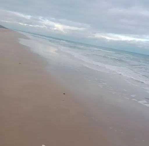 La Salicorne, Maison D'hôtes. Casa de Férias