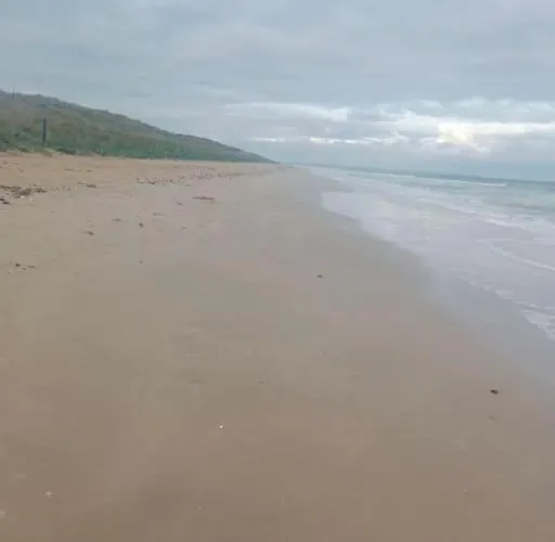 La Salicorne, Maison D'hôtes. Brevands